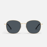 GOLD/SMOKEPOLARIZED